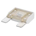 Transtector 3600-105 Enlarged Image