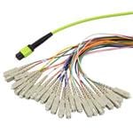 PolyPhaser MFO-M24M5-SCR-5 Enlarged Image