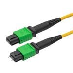 PolyPhaser MFO-MF12SM-BZ-3 Enlarged Image