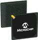Microchip Technology APA750-BGG456