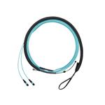 Panduit FWTYL7575KAM064 Enlarged Image