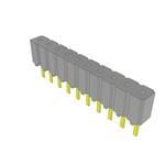 Samtec CES-110-01-G-S Enlarged Image